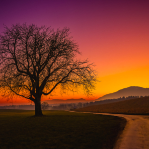 Fine Art Limited Edition © by romano conte photography - At the Threshold of Day and Night