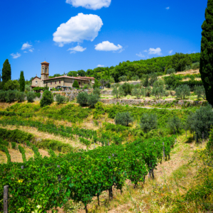 Fine Art Limited Edition © by romano conte photography - Beneath the Tuscan Sky