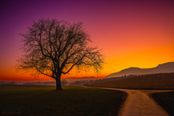 Fine Art Limited Edition © by romano conte photography - At the Threshold of Day and Night