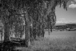 Fine Art Limited Edition © by romano conte photography - Bench of Tranquility