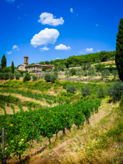 Fine Art Limited Edition © by romano conte photography - Beneath the Tuscan Sky