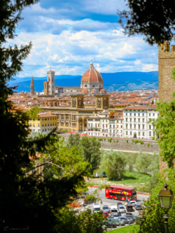 Fine Art Limited Edition © by romano conte photography - Framed View of Florence