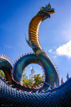 Fine Art Limited Edition © by romano conte photography - Phaya Nak & Buddha